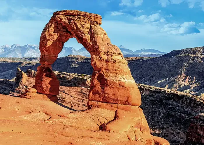 need-help-section-image